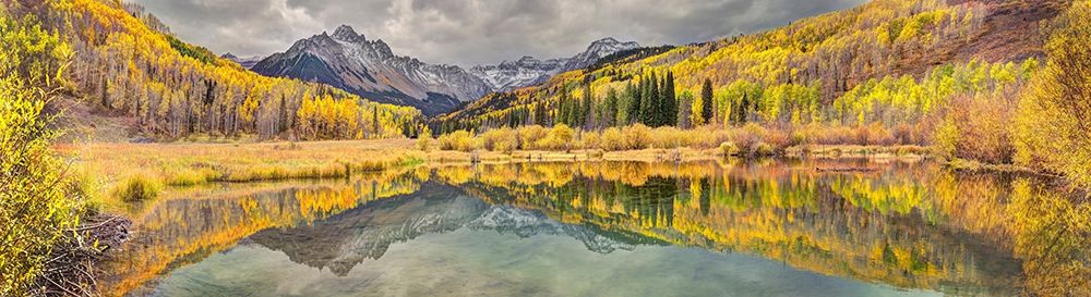 Mt Snaffles and a sea of gold Aspen trees reflects in a large pond in autumn art print by Steve Mohlenkamp for $57.95 CAD